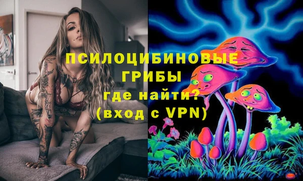 альфа пвп Новокубанск