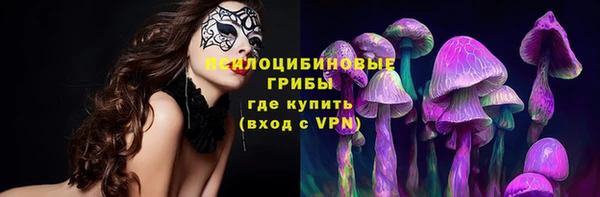 альфа пвп Новокубанск