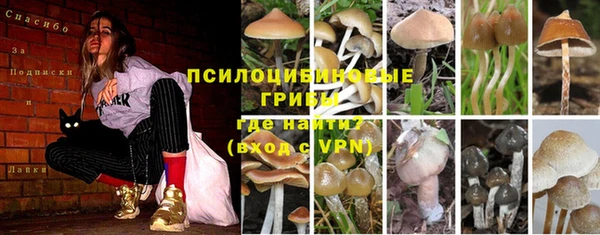 соль курить ск Новозыбков