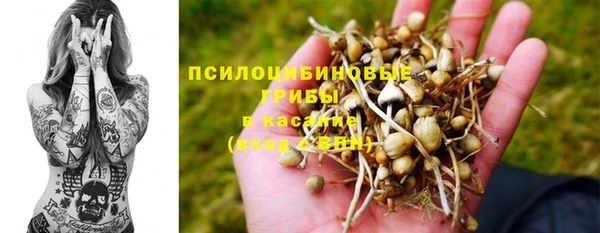 соль курить ск Новозыбков