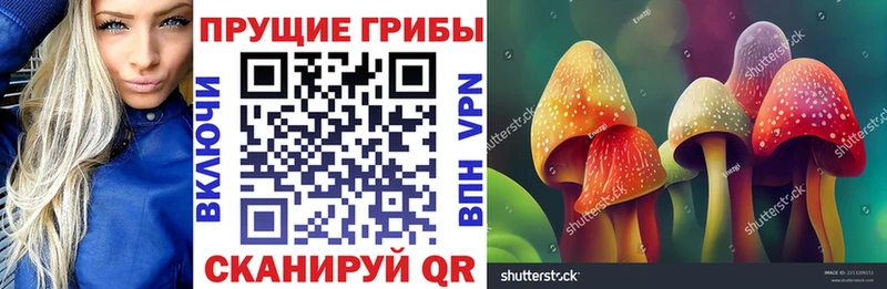 Галлюциногенные грибы Cubensis Купить где Жирновск